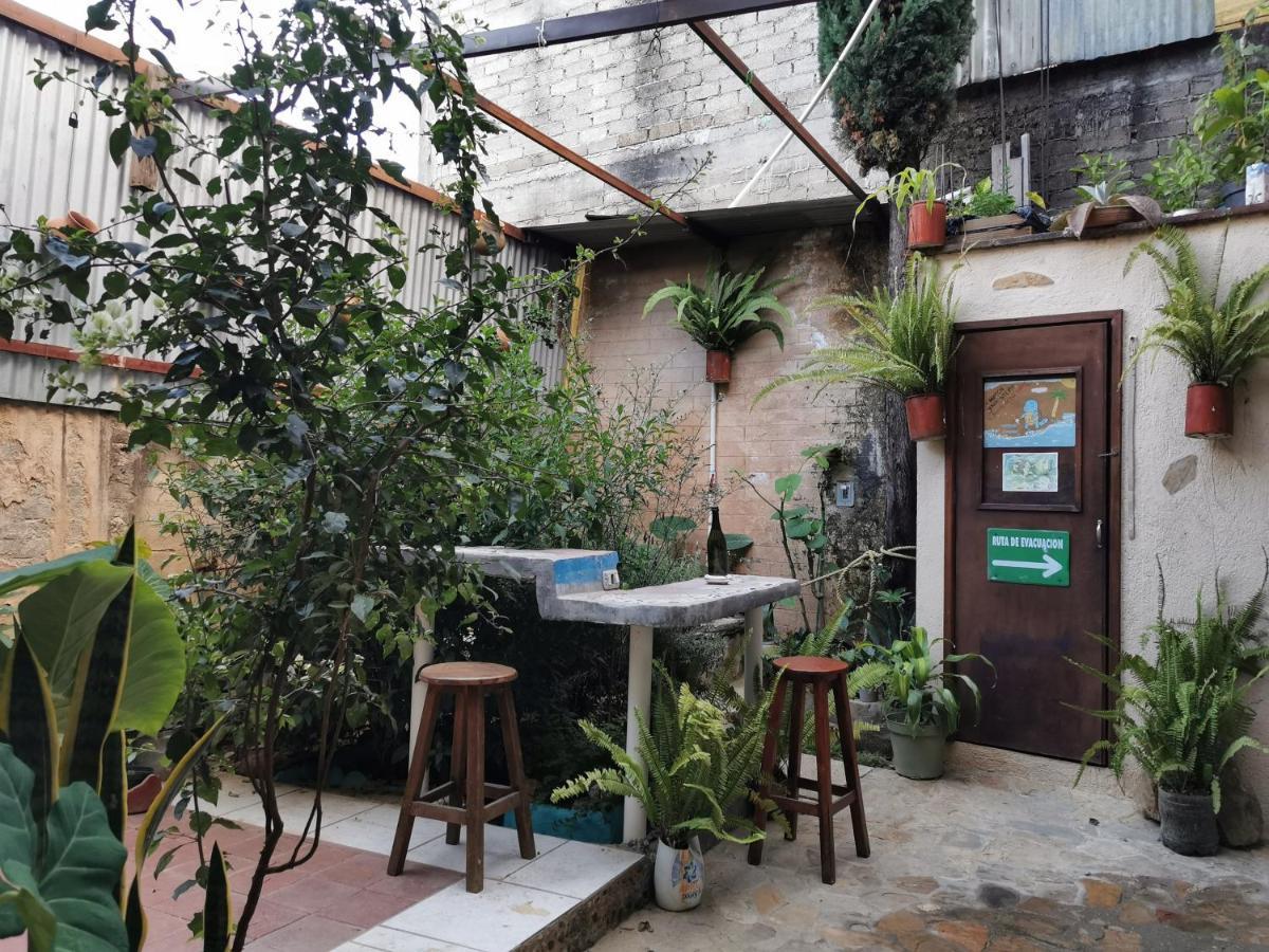 Hotel Casa Donaji Oaxaca Esterno foto